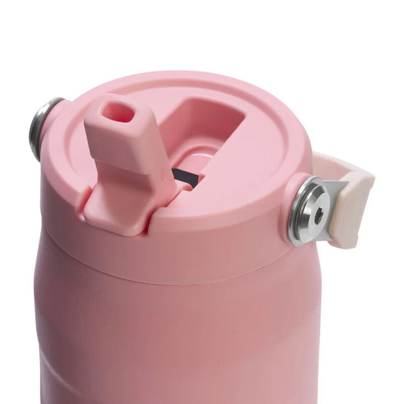 Stanley The Iceflow™ Bottle With Flip Straw Lid 24oz Pink Mesa image number 2